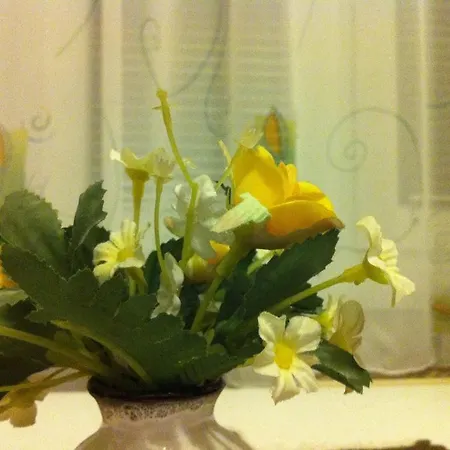 Bathory Hajdúszoboszló